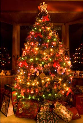 Árvore de Natal – preço e fotos