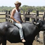 História e fotos do elenco de Amor Eterno Amor nova novela das seis da Globo